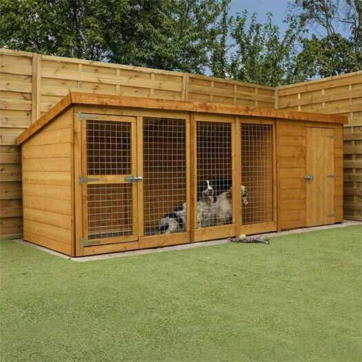 Mercia _ Berkshire Dog Run & Kennel