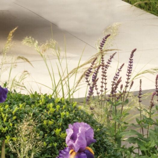 Stonemarket Paving _ Porcelain 'Fortuna Vitrified' Cream - PAVING SLABS
