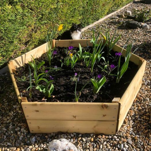 Greena_Hexagonal Pressure Treated Timber Raised Bed-Medium