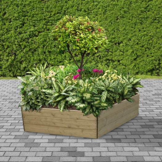 Greena _ Hexagonal Pressure Treated Timber Raised Bed - High