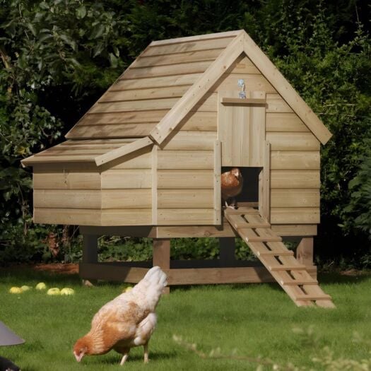 Rowlinson_Large Chicken Coop