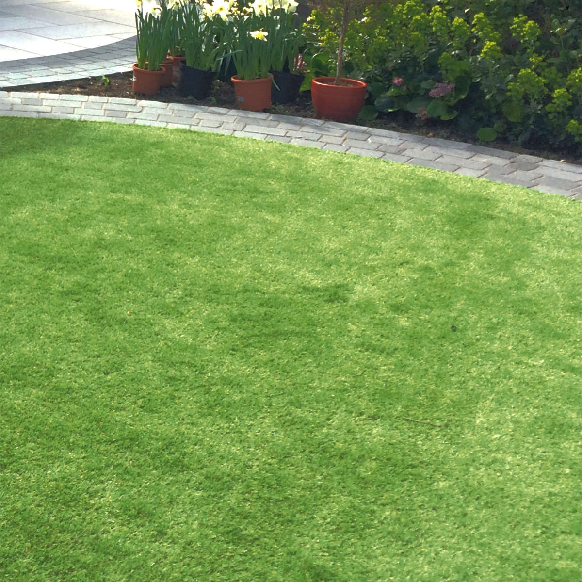 Luxigraze _ Artificial Grass-30 Premium