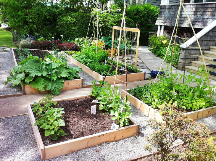 Tips on Building a Raised Bed Garden