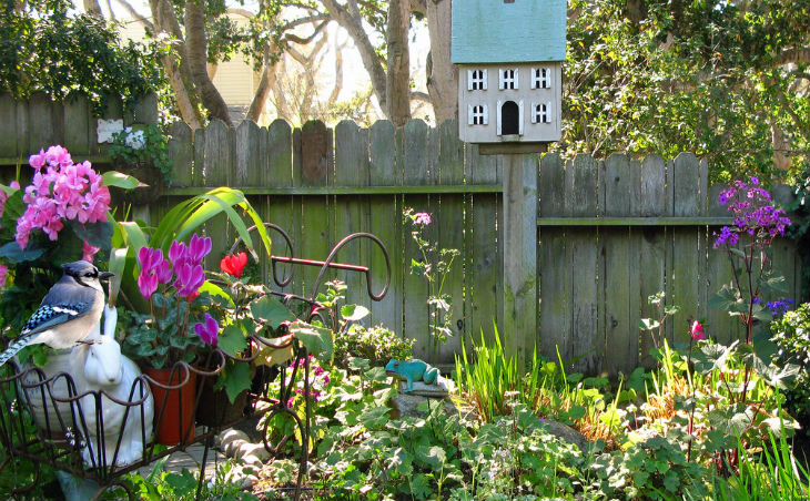 How to Conserve Water and Still Keep A Beautiful Garden