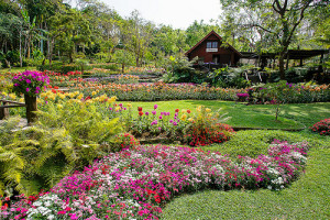 decorative garden