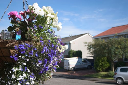 How To Plant A Hanging Basket