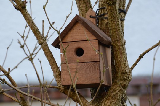 10 Ways To Make Wildlife Welcome in Your Winter Garden