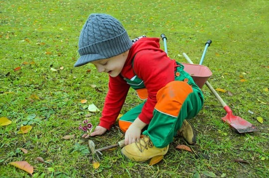 Get The Kids Gardening This Half Term