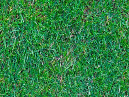 Artificial Grass over Real Turf: The Pros and Cons