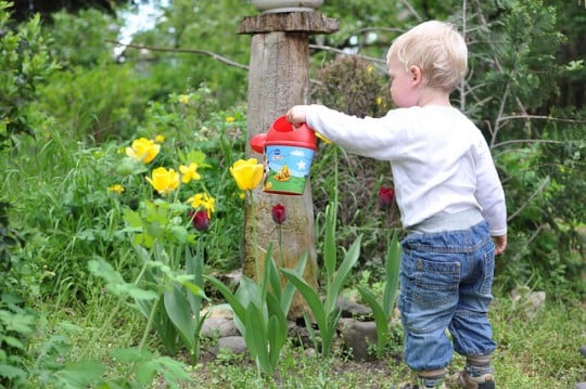 Child-Friendly Gardens