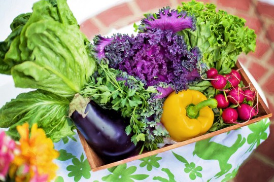 Gardening New Year Resolutions
