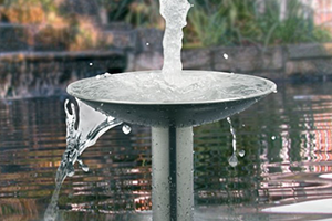Transform your garden with a water feature
