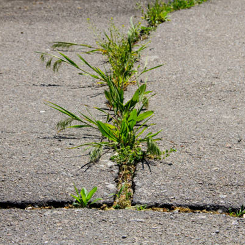 How to Repair Your Paving