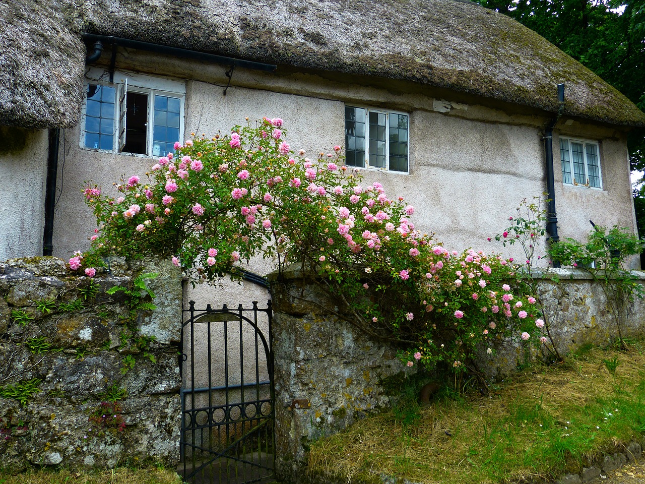 How to Create a Cottage Garden Style