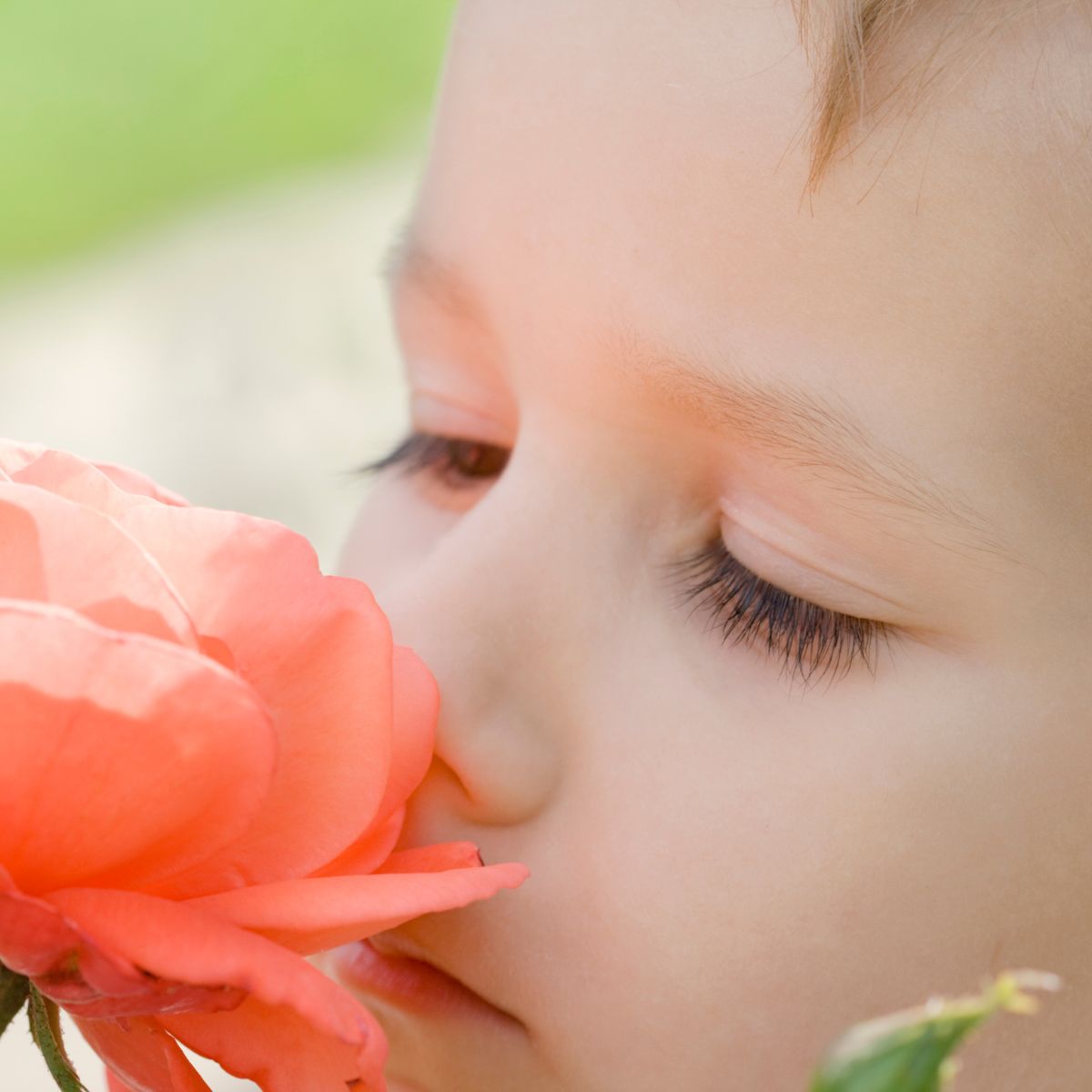 Creating a Garden for the Senses to Aid Relaxation