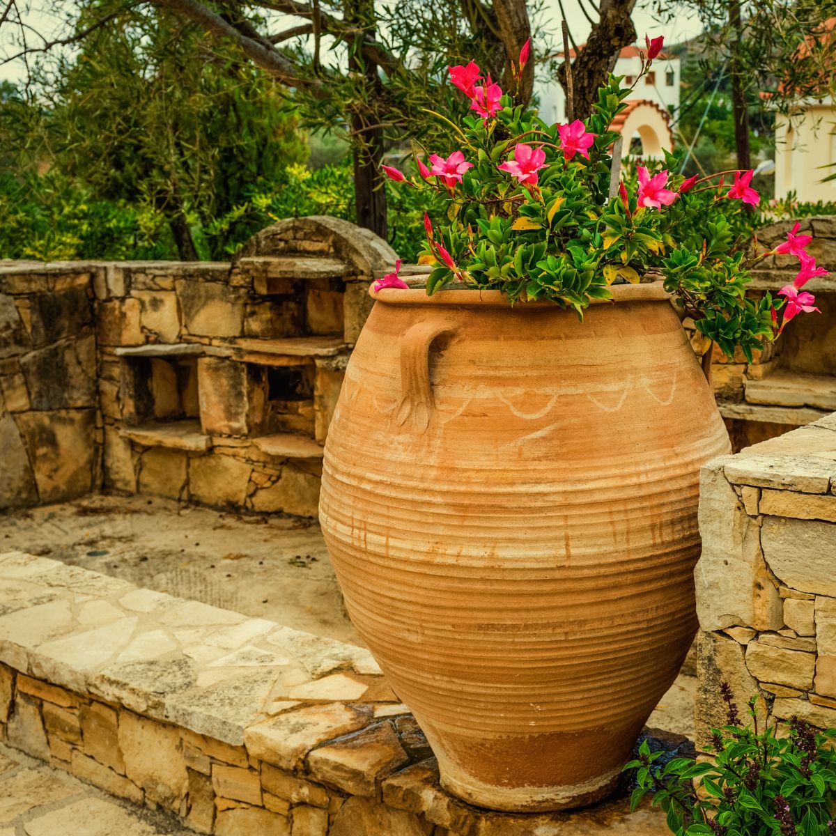 How to Create a Mediterranean-style Garden