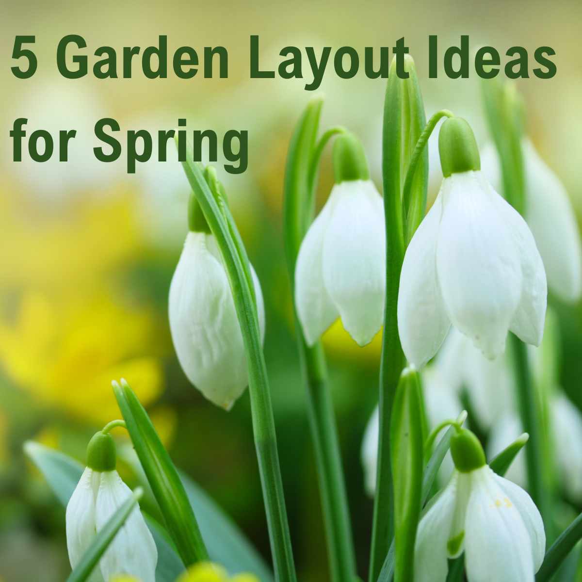 5 Garden Layouts for Spring
