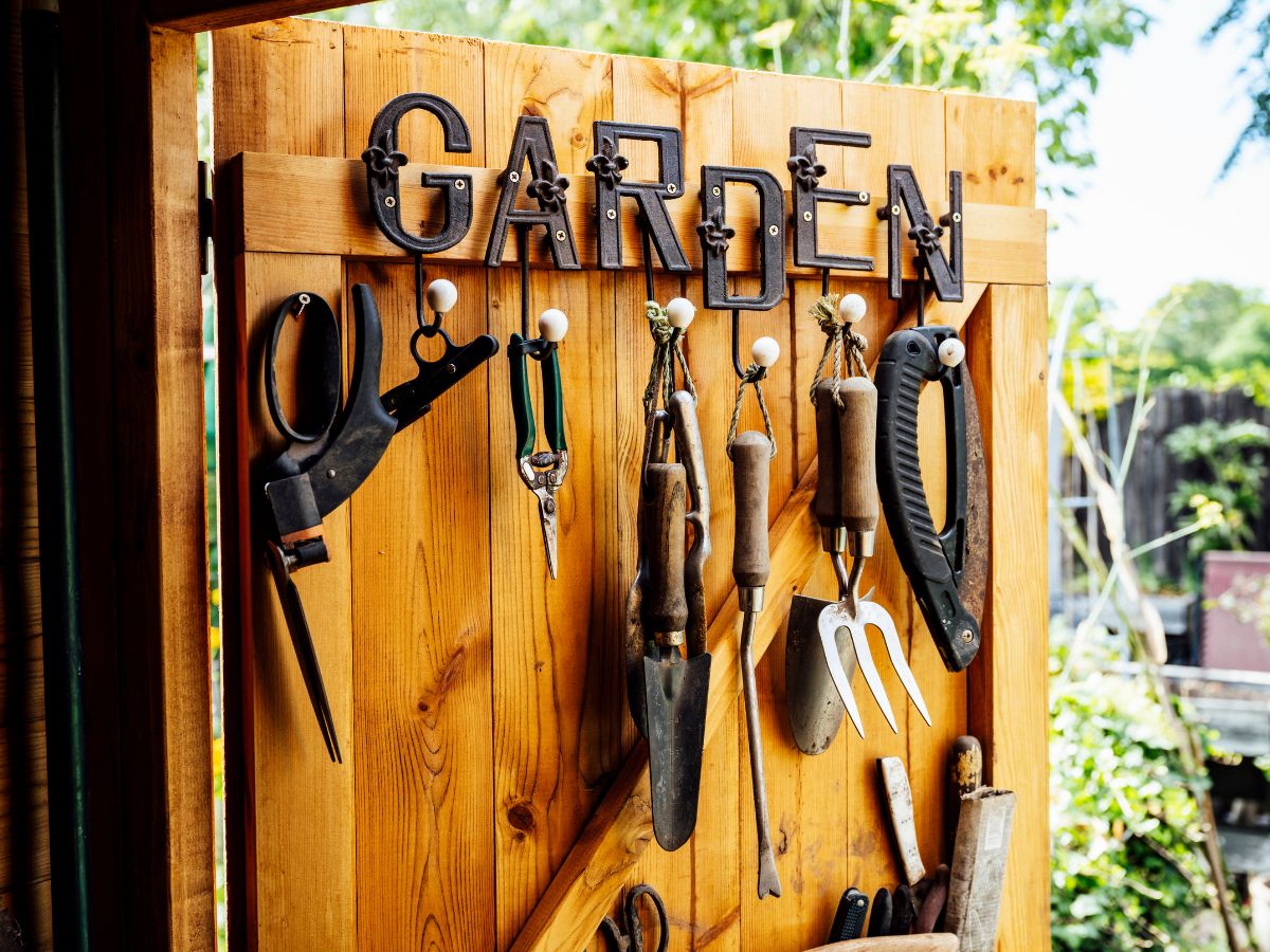 6 Ideas for Organising your Shed