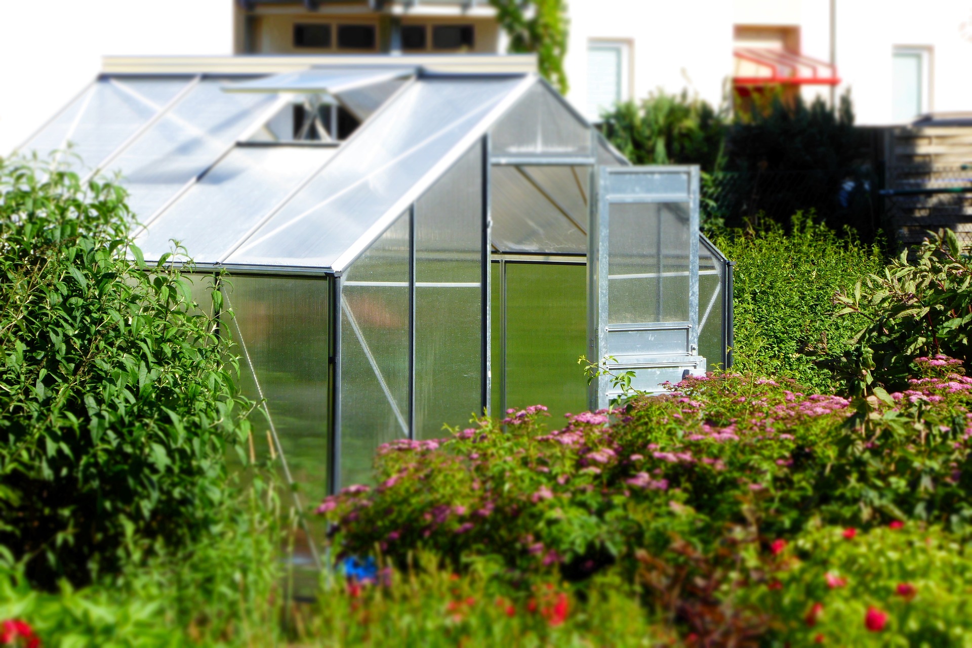 Benefits of Buying a Greenhouse and Raised Planting Beds for your Vegetable Garden